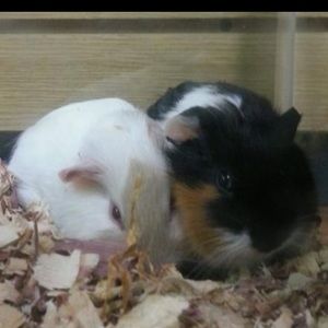 Meet your Posher, Nadia